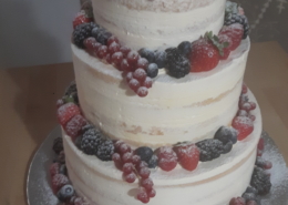 Semi naked cake